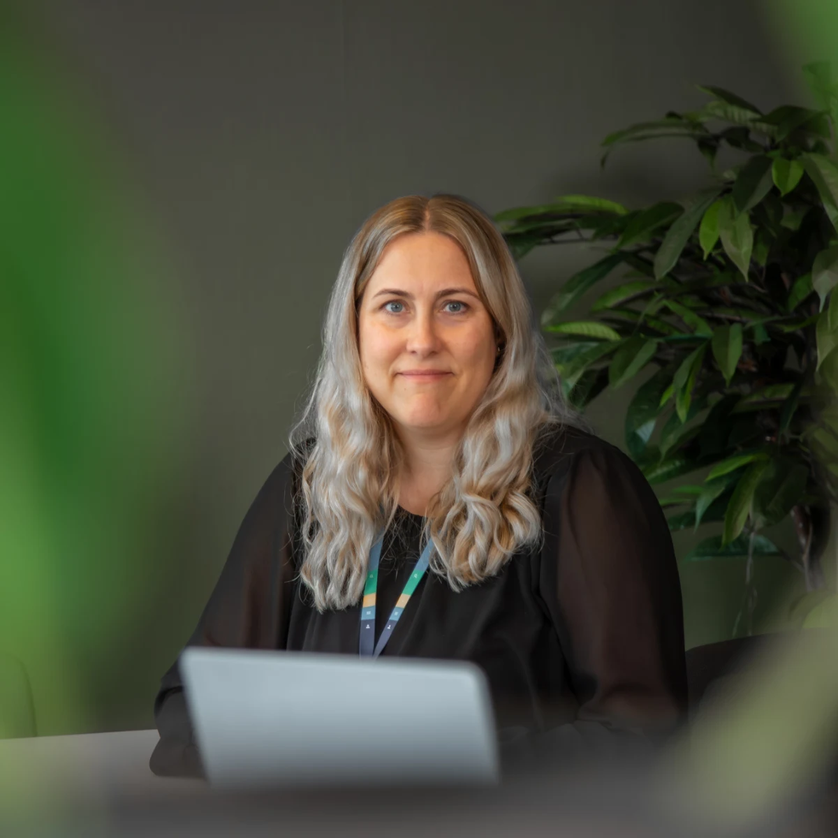 AI advisory services